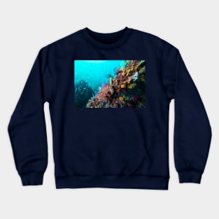 Soft coral kingdom Crewneck Sweatshirt